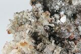 Scepter Quartz and Calcite Crystal Association - Cocineras Mine #183750-1